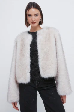 Mujer Springfield Abrigos>Abrigo corto pelo