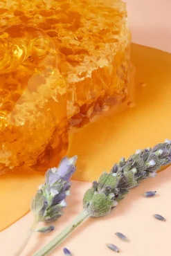 Nuxe Cosmética Facial><noscript><img width=