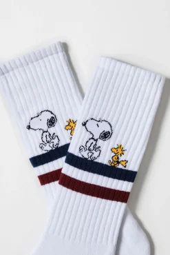 Mujer Besocks Calcetines|Calcetines>Calcetines altos de algodón orgánico