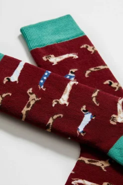 Hombre Besocks Calcetines>Calcetines altos perro salchicha