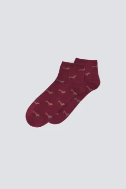 Mujer Springfield Calcetines>Calcetín corto perros