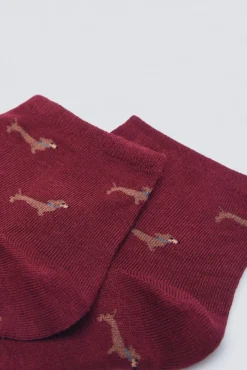 Mujer Springfield Calcetines>Calcetín corto perros