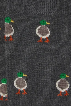 Hombre Kiff-Kiff Calcetines>Calcetín Regular Algodón Caballero