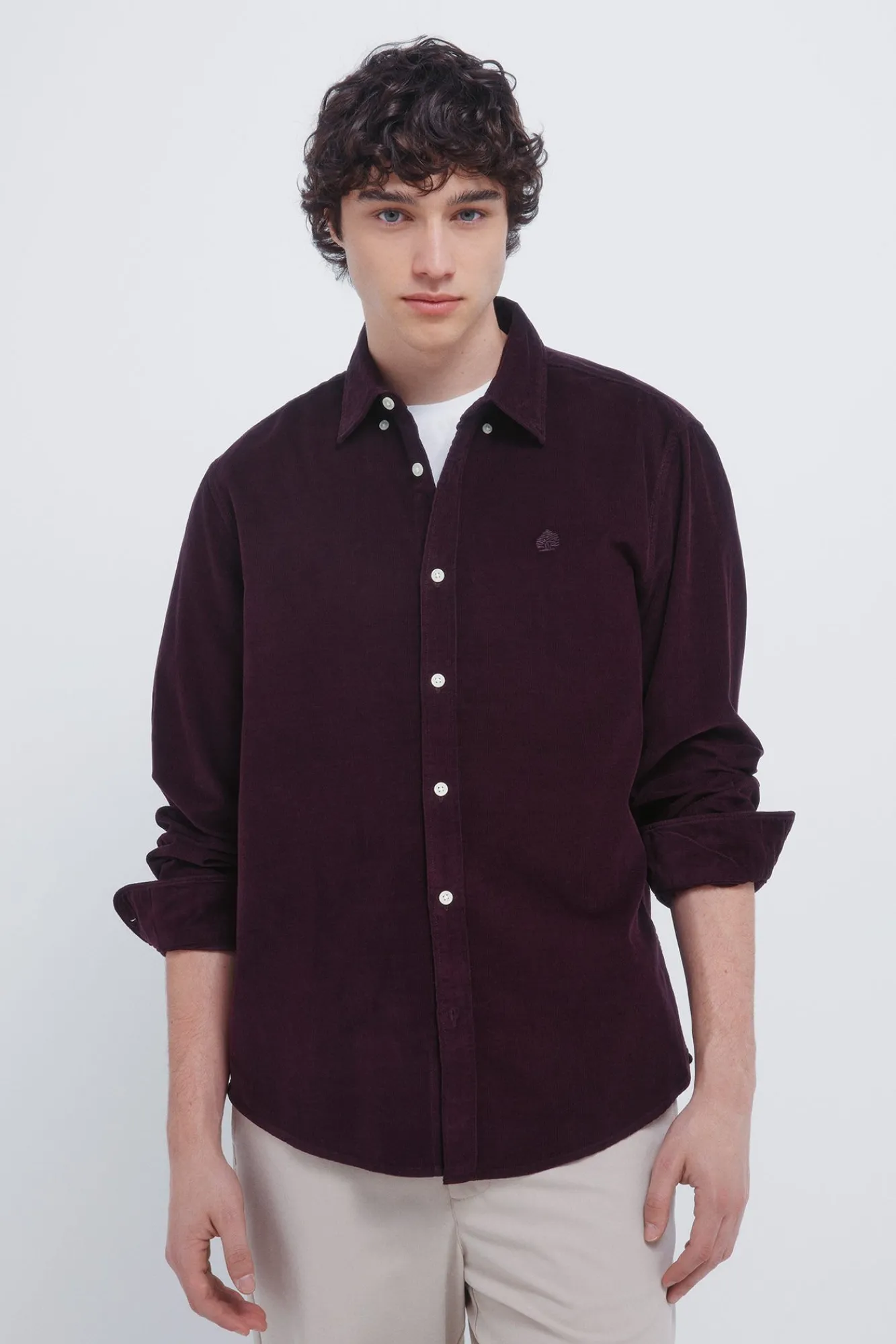 Hombre Springfield Camisas>Camisa micro pana