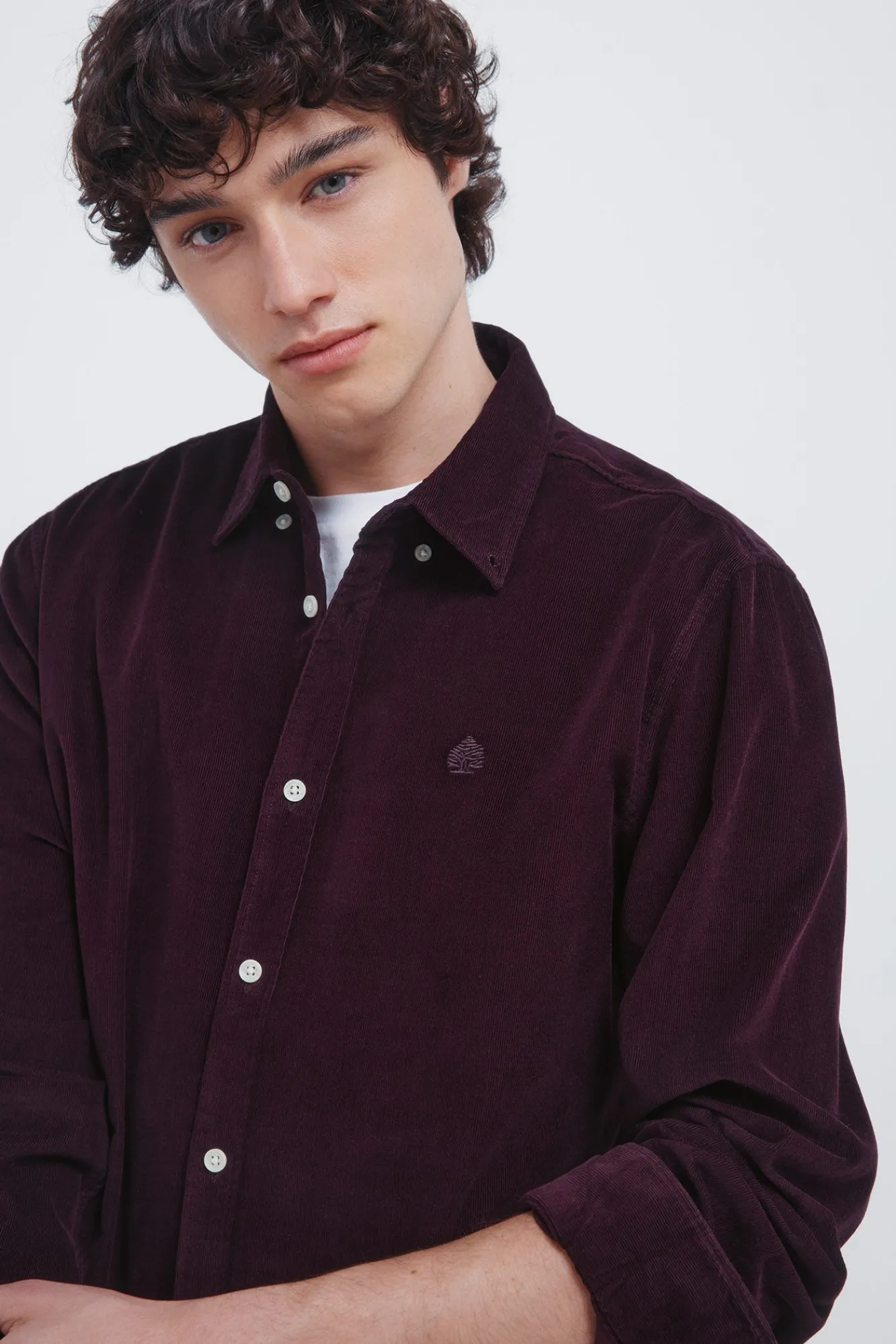 Hombre Springfield Camisas>Camisa micro pana