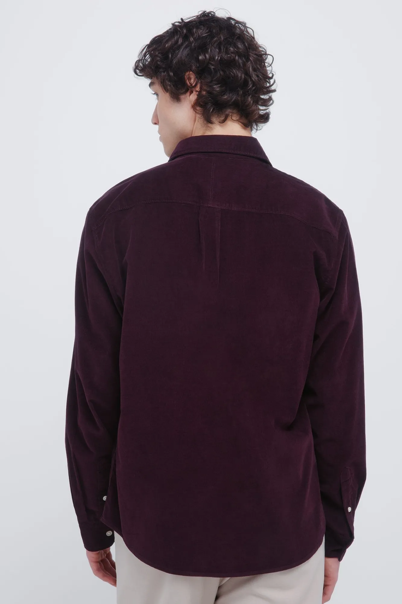 Hombre Springfield Camisas>Camisa micro pana