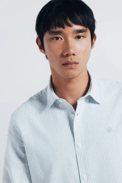 Hombre Springfield Camisas>Camisa oxford rayas