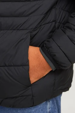 Hombre Jack & Jones PLUS Chaquetas><noscript><img width=