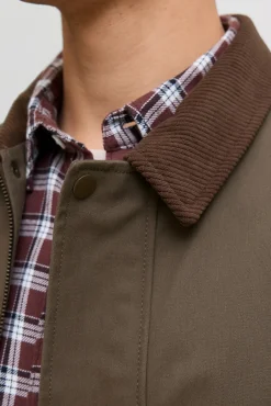 Mujer Jack & Jones PLUS Chaquetas>Cazadora clásica