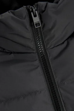 Hombre Jack & Jones Chaquetas>Chaqueta acolchada