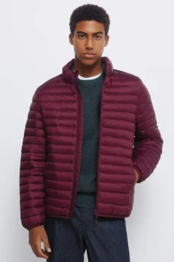 Hombre Springfield Chaquetas>Chaqueta acolchada