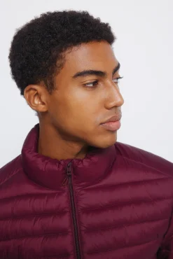 Hombre Springfield Chaquetas>Chaqueta acolchada