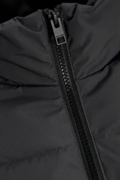 Hombre Jack & Jones PLUS Chaquetas>Chaqueta acolchada hombre