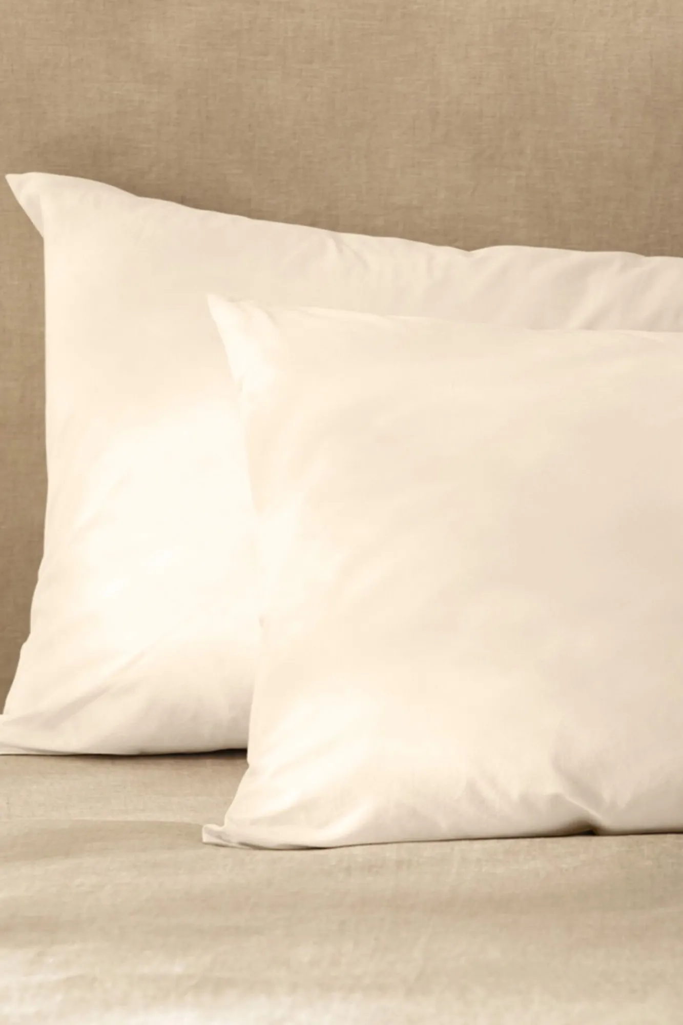 Bassols Fundas De Almohada>Funda de almohada florencia