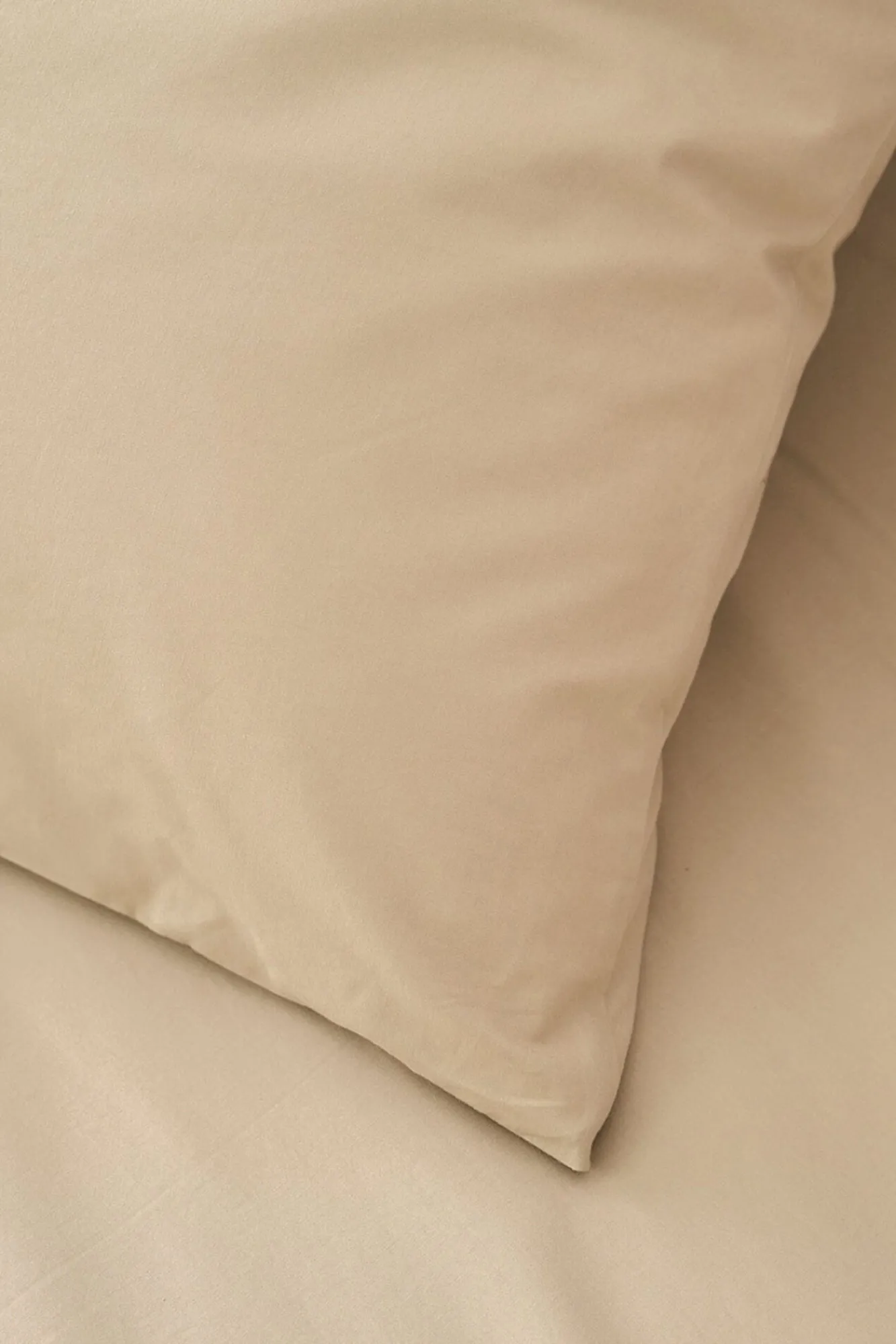 Bassols Fundas De Almohada>Fundas de almohada cotton