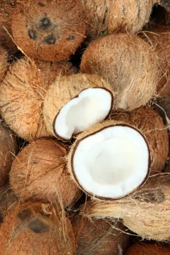 The Body Shop Cosmética Corporal>Gel de Ducha Cremoso de Coco 250 ml