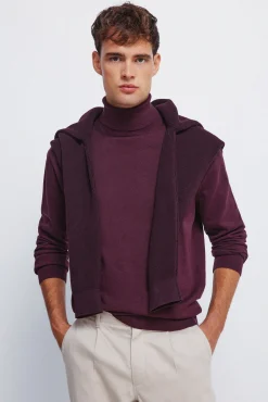 Hombre Springfield Jerséis>Jersey básico cuello alto