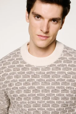 Hombre Selected Jerséis>Jersey lana cuello caja