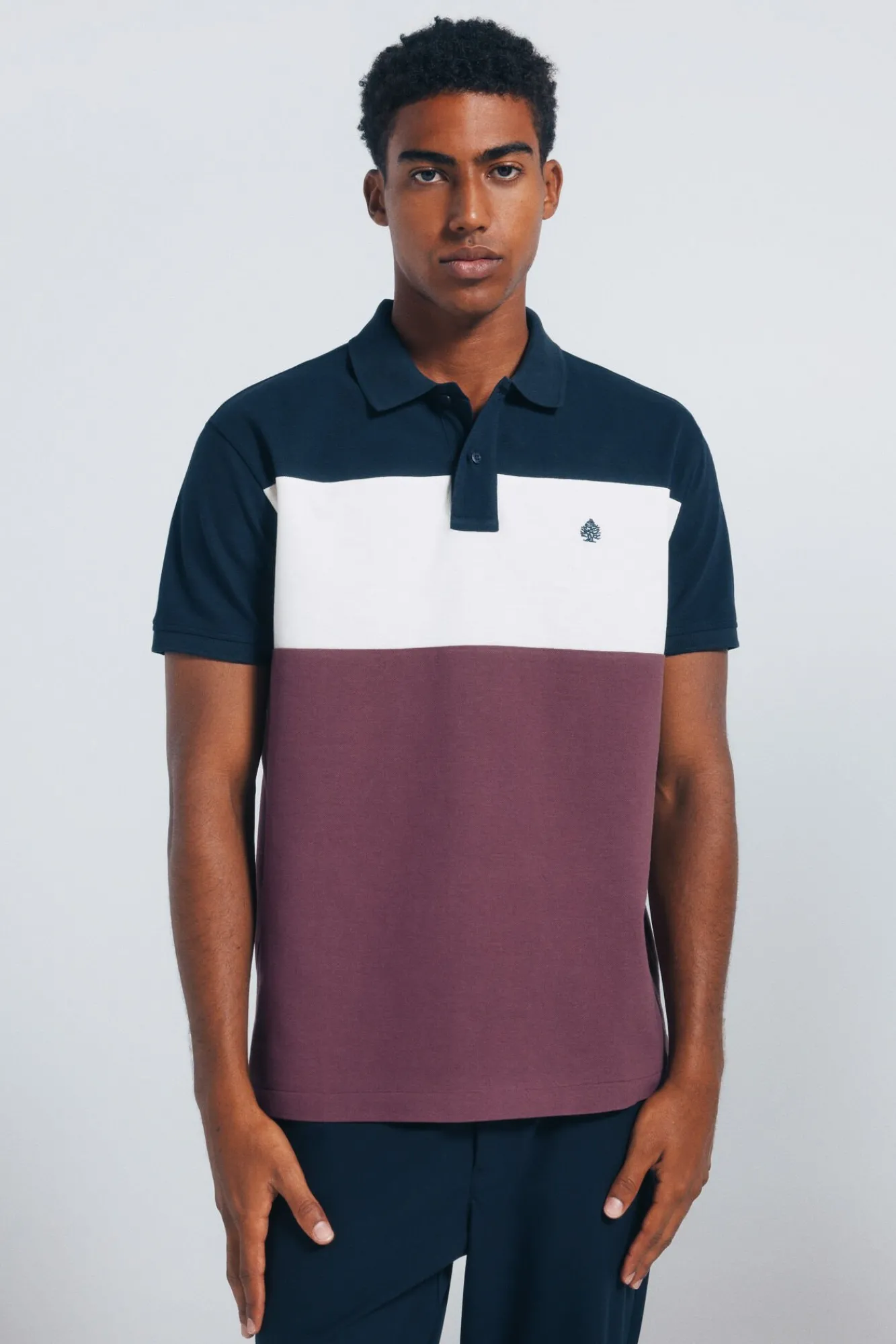 Hombre Springfield Polos>Polo piqué bloques color regular fit