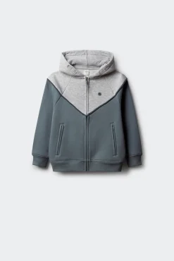 Niños Springfield Kids Camisetas|Sudaderas>Sudadera capucha cortes niño