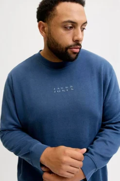 Hombre Jack & Jones PLUS Sudaderas>Sudadera con capucha y logo