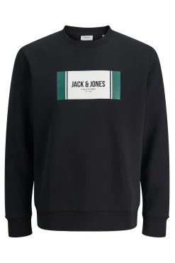 Hombre Jack & Jones PLUS Sudaderas>Sudadera regular fit PLUS