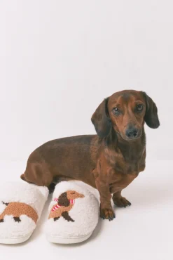 Mujer Women'secret Zapatillas Casa>Zapatillas casa borreguito perrito